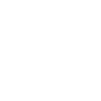 Aviation sector