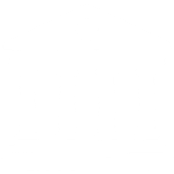 Government sector